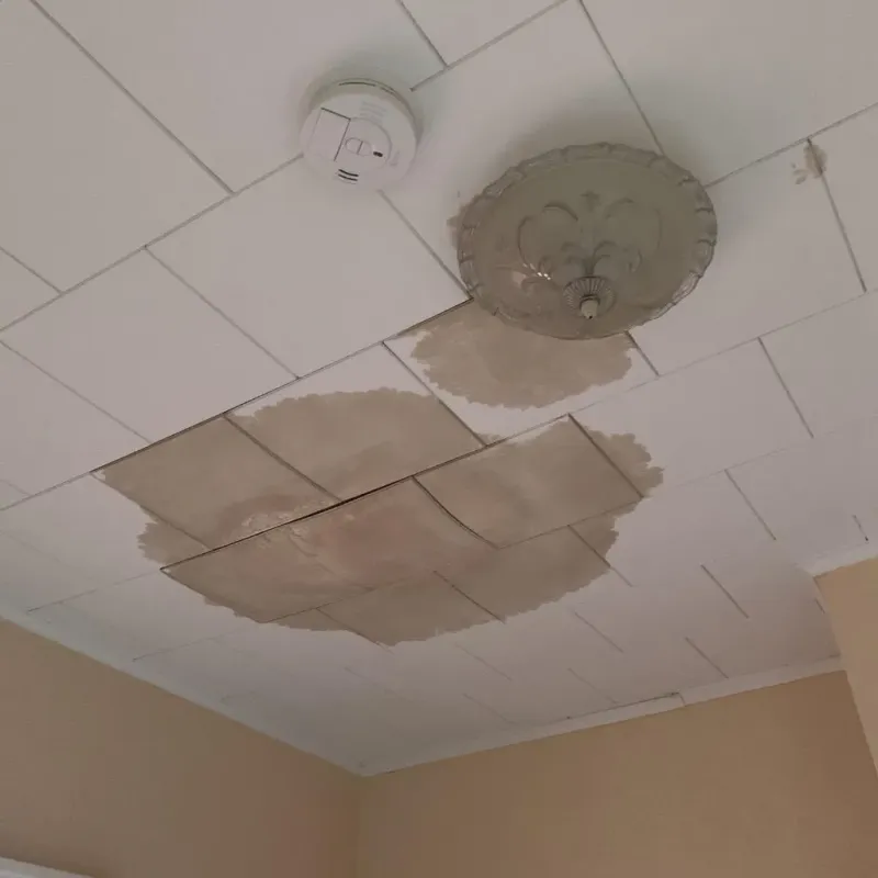 Ceiling Water Damage Repair in Park City, KS