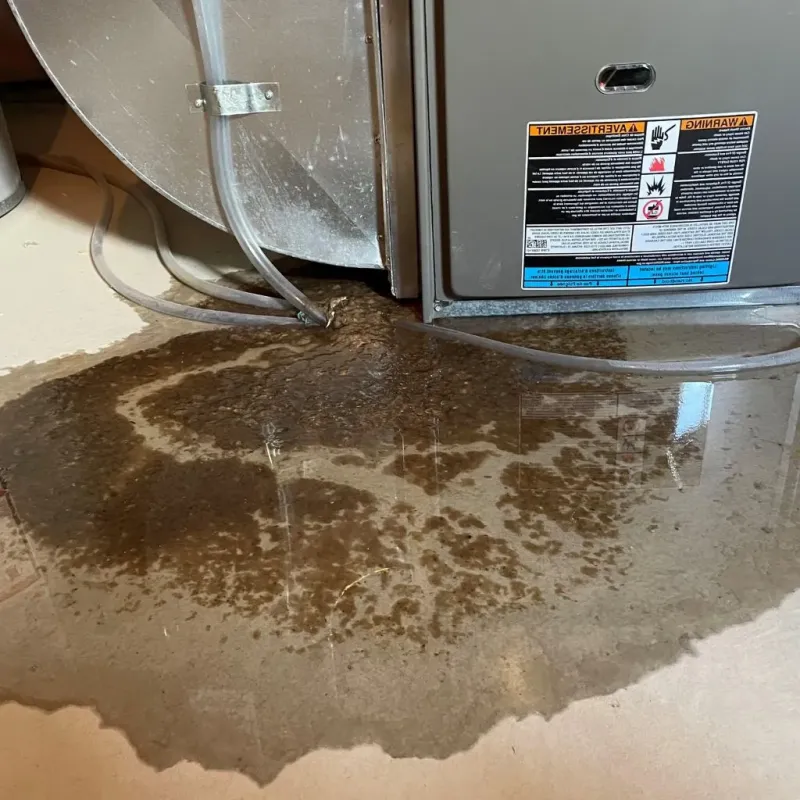 Pipe Burst and Leak Restoration in Park City, KS