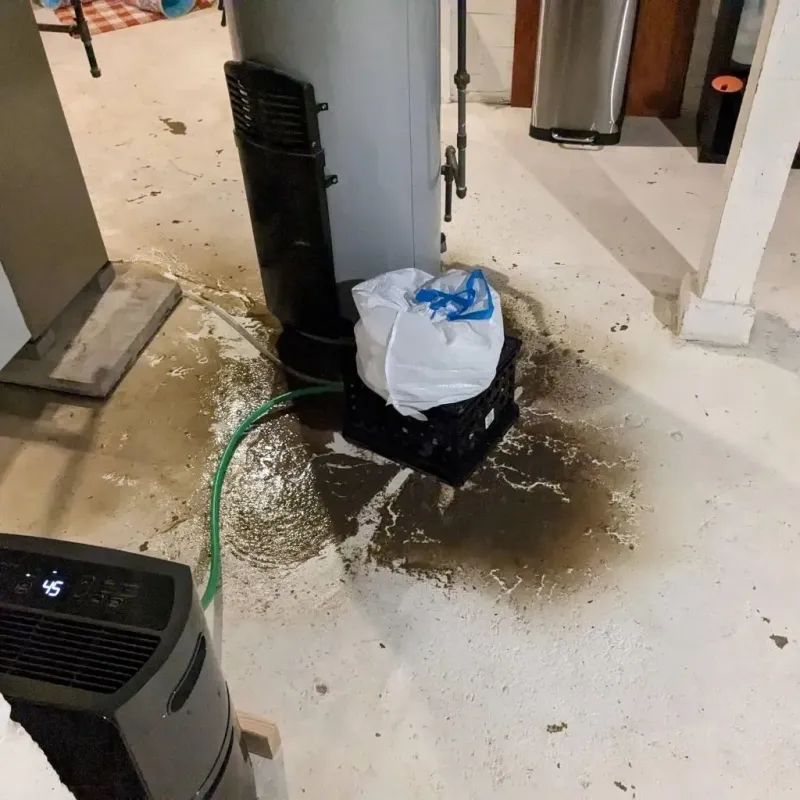 Sewage Backup Cleanup Service in Park City, KS